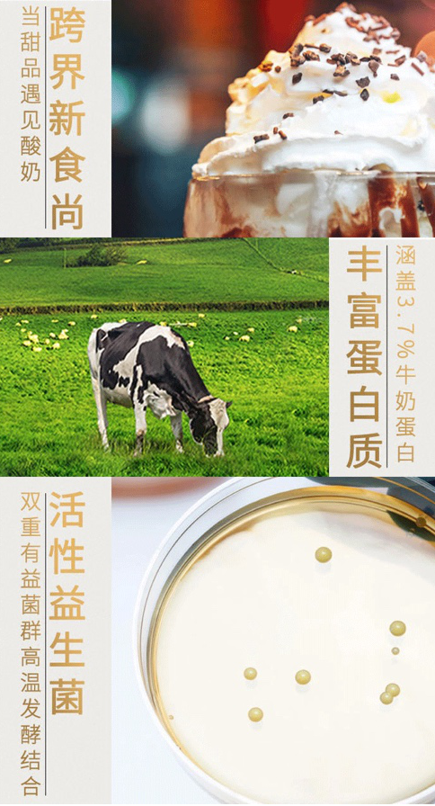 好享閑”甜品時刻，享受酸奶新風(fēng)尚