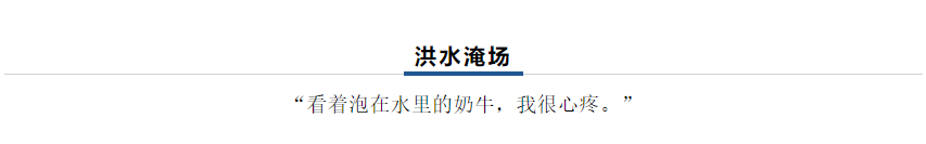 【乳報(bào)·聚焦】“豫”難而上的中原牛人“太中了”！