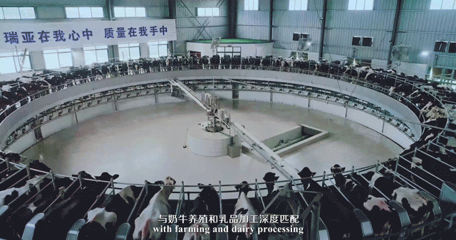 榮譽(yù) | 2019年度河南省美麗牧場名單新鮮出爐 花花牛乳業(yè)集團(tuán)旗下六個牧場榜上有名