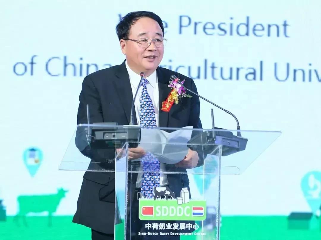 SDDDC走進(jìn)河南，看看花花牛的國際范兒！